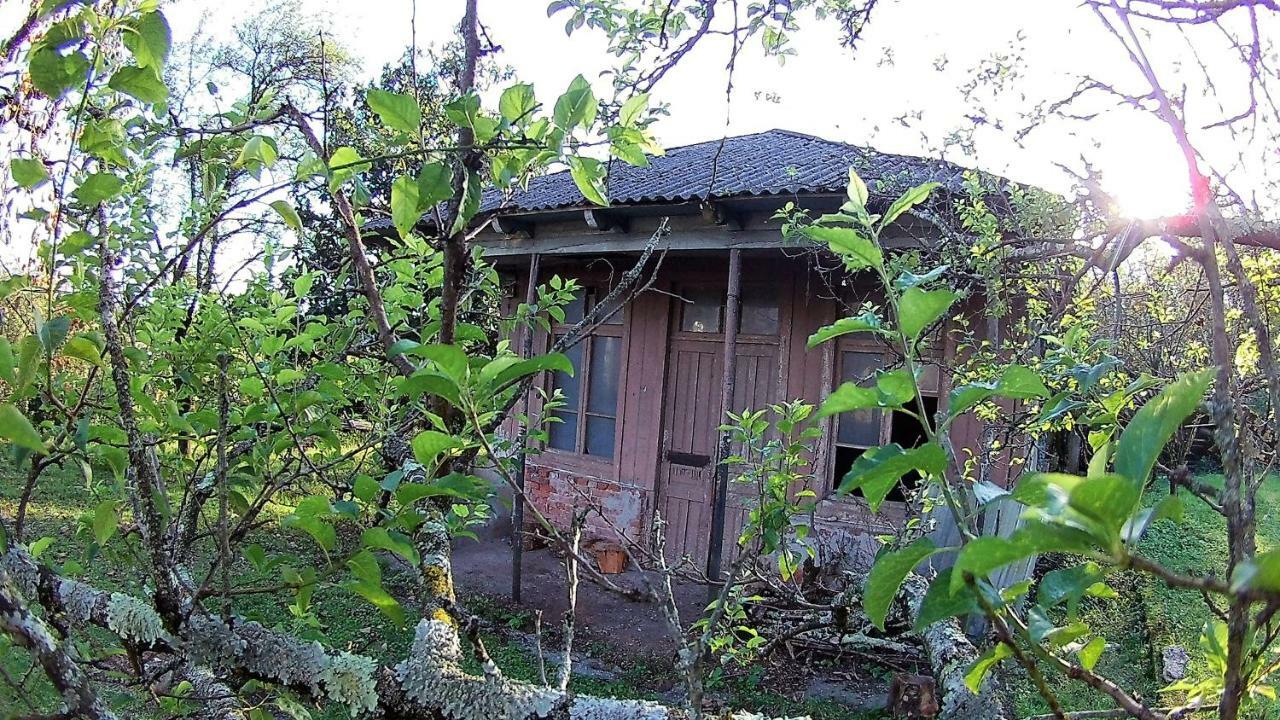 Surmava Palace Martvili Extérieur photo
