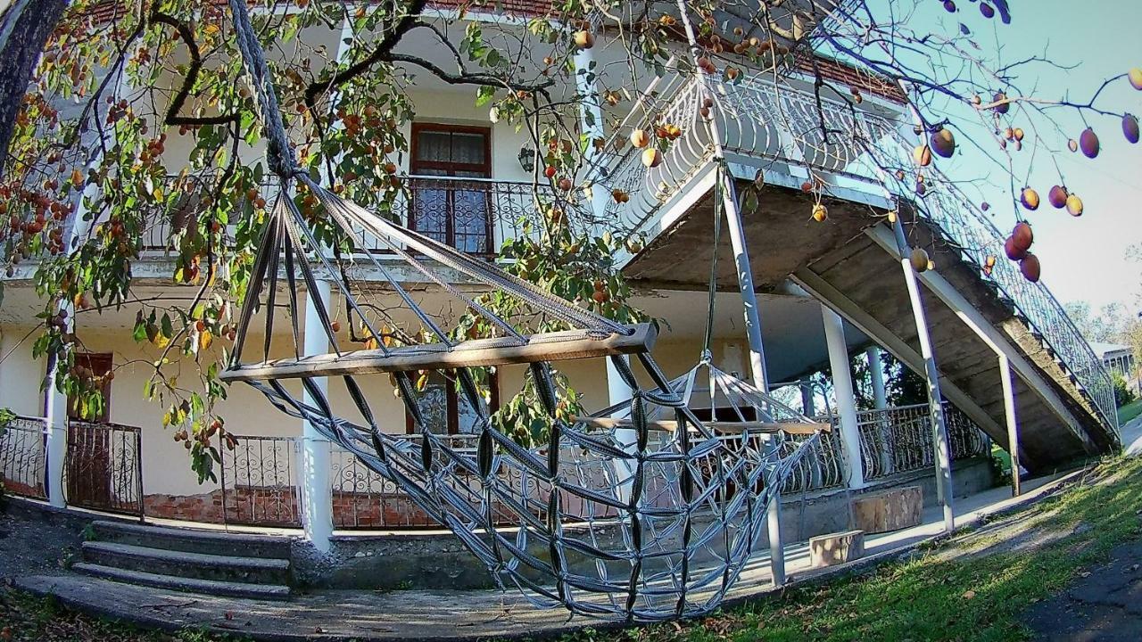 Surmava Palace Martvili Extérieur photo